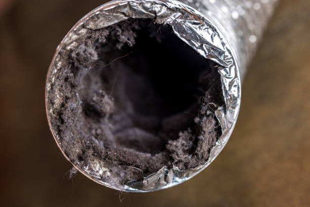 Best Local Air Duct Cleaning Services  in USA